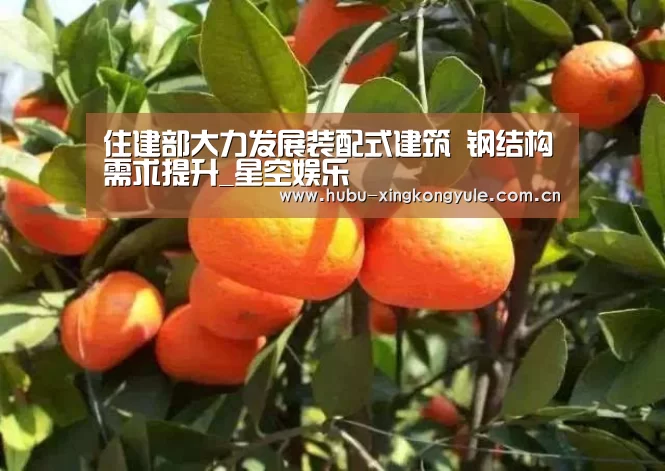住建部大力发展装配式建筑 钢结构需求提升_星空娱乐(图1) 星空娱乐官网