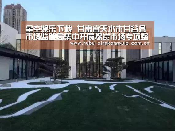 星空娱乐下载-甘肃省天水市甘谷县市场监管局集中开展煤炭市场专项整治工作(图3) 星空娱乐